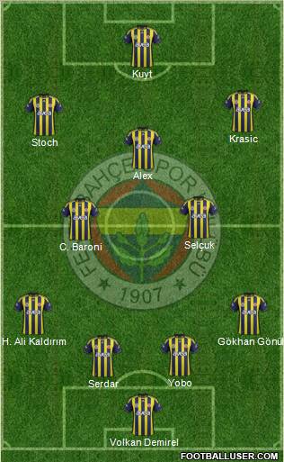 Fenerbahçe SK Formation 2012
