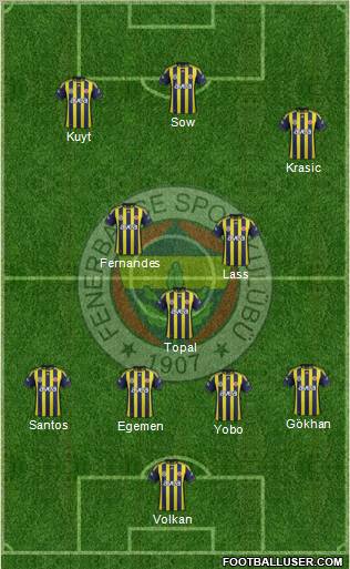 Fenerbahçe SK Formation 2012