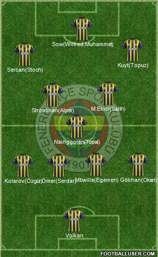 Fenerbahçe SK Formation 2012