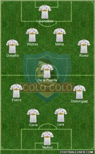 CSD Colo Colo Formation 2012