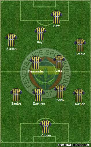 Fenerbahçe SK Formation 2012
