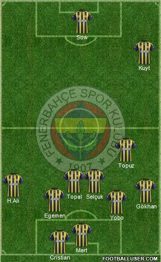 Fenerbahçe SK Formation 2012