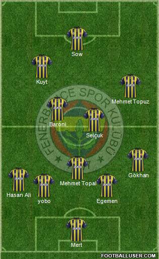Fenerbahçe SK Formation 2012