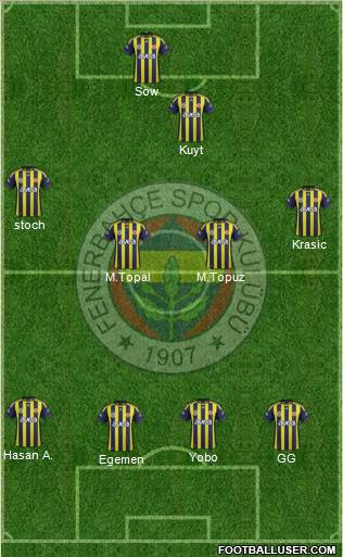Fenerbahçe SK Formation 2012