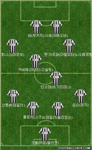 Newcastle United Formation 2012