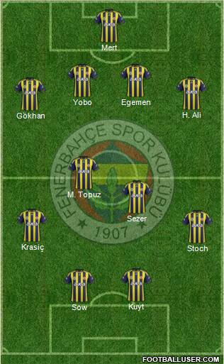 Fenerbahçe SK Formation 2012