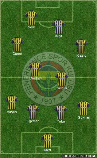 Fenerbahçe SK Formation 2012