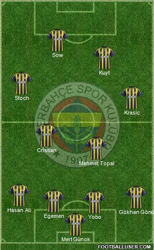 Fenerbahçe SK Formation 2012