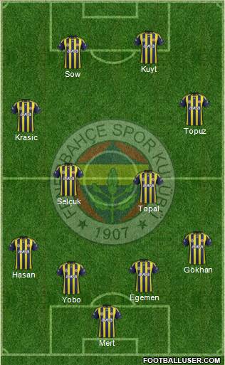 Fenerbahçe SK Formation 2012