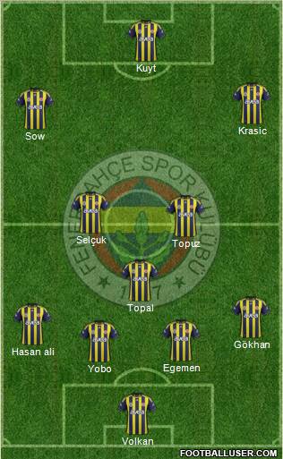 Fenerbahçe SK Formation 2012