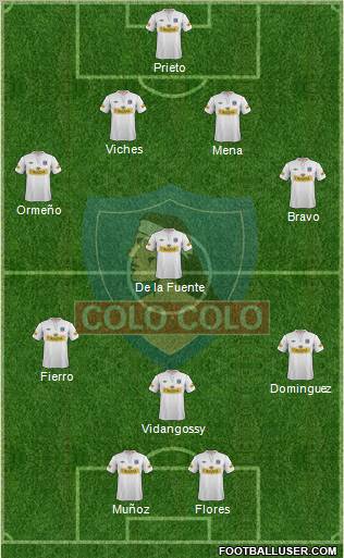 CSD Colo Colo Formation 2012
