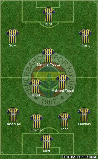 Fenerbahçe SK Formation 2012