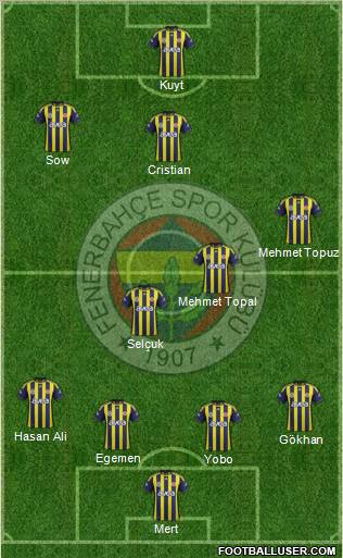 Fenerbahçe SK Formation 2012