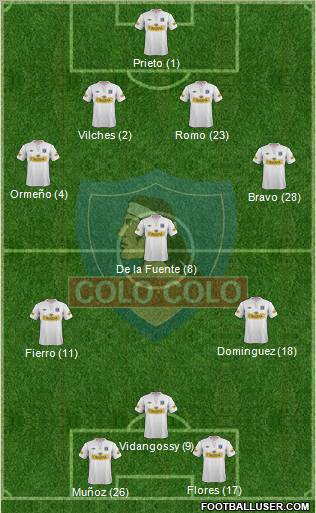 CSD Colo Colo Formation 2012