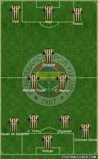 Fenerbahçe SK Formation 2012