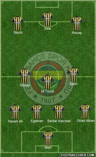 Fenerbahçe SK Formation 2012