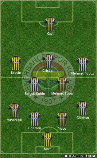 Fenerbahçe SK Formation 2012