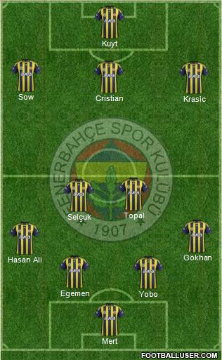Fenerbahçe SK Formation 2012