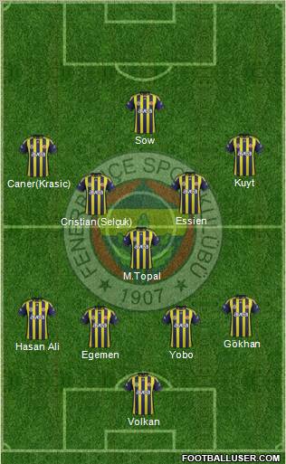 Fenerbahçe SK Formation 2012
