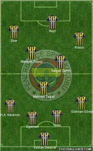 Fenerbahçe SK Formation 2012