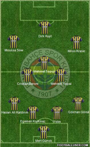 Fenerbahçe SK Formation 2012