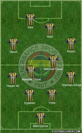 Fenerbahçe SK Formation 2012