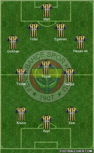 Fenerbahçe SK Formation 2012