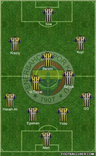 Fenerbahçe SK Formation 2012