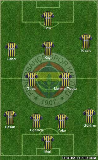 Fenerbahçe SK Formation 2012