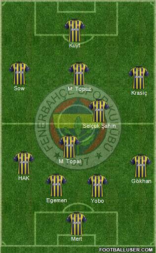 Fenerbahçe SK Formation 2012
