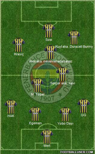 Fenerbahçe SK Formation 2012