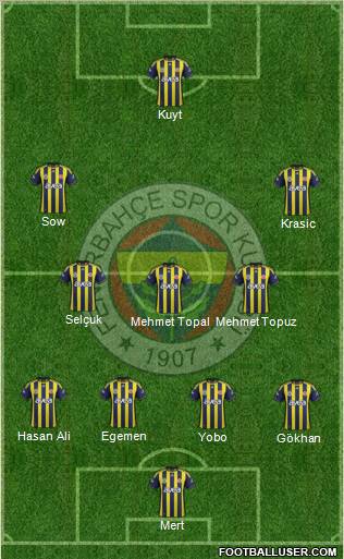 Fenerbahçe SK Formation 2012