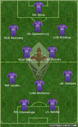 Fiorentina Formation 2012