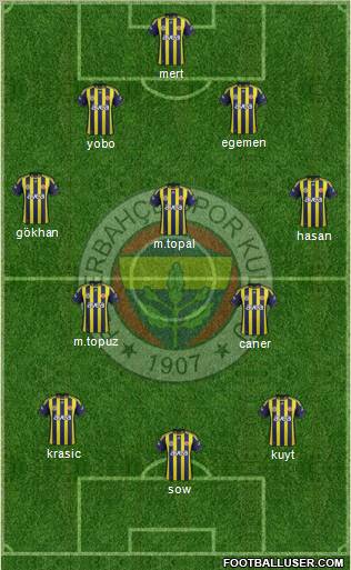 Fenerbahçe SK Formation 2012