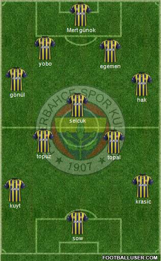 Fenerbahçe SK Formation 2012