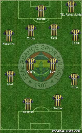 Fenerbahçe SK Formation 2012