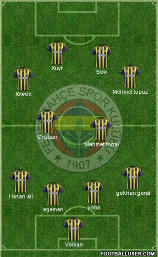 Fenerbahçe SK Formation 2012