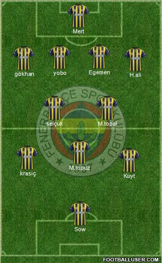 Fenerbahçe SK Formation 2012