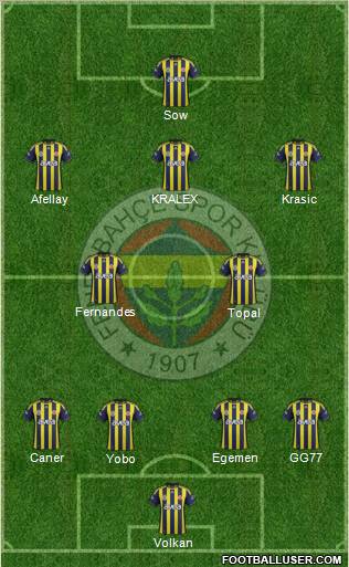 Fenerbahçe SK Formation 2012