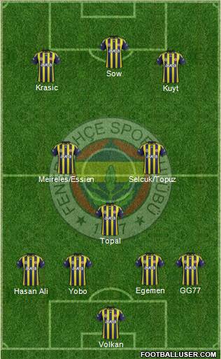 Fenerbahçe SK Formation 2012