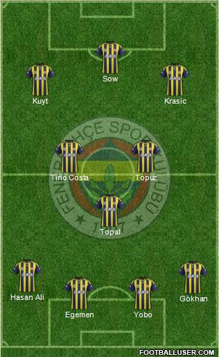 Fenerbahçe SK Formation 2012
