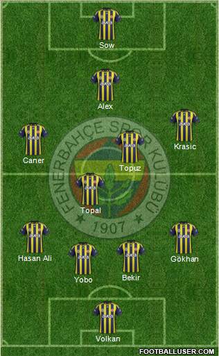 Fenerbahçe SK Formation 2012