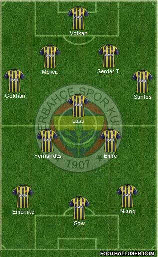 Fenerbahçe SK Formation 2012