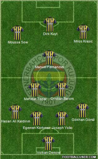 Fenerbahçe SK Formation 2012