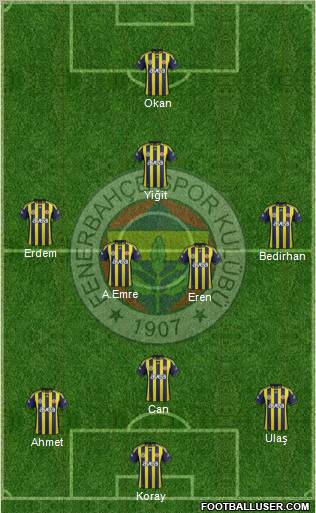 Fenerbahçe SK Formation 2012