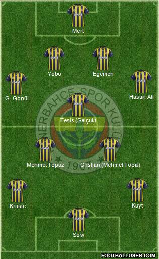 Fenerbahçe SK Formation 2012