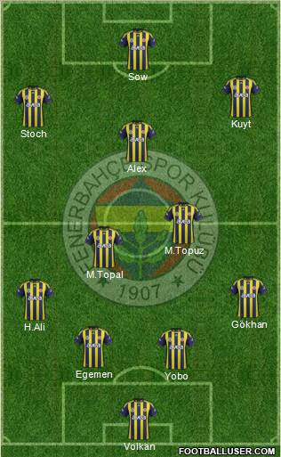 Fenerbahçe SK Formation 2012
