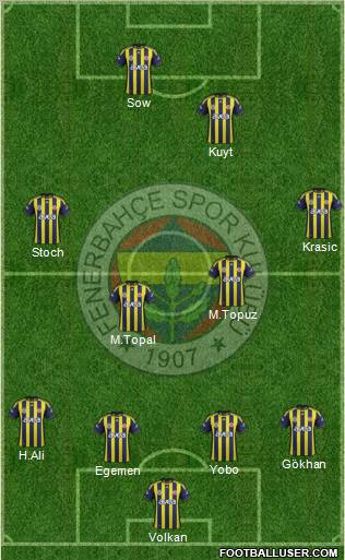 Fenerbahçe SK Formation 2012