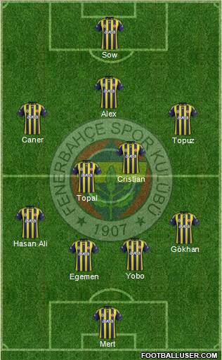 Fenerbahçe SK Formation 2012