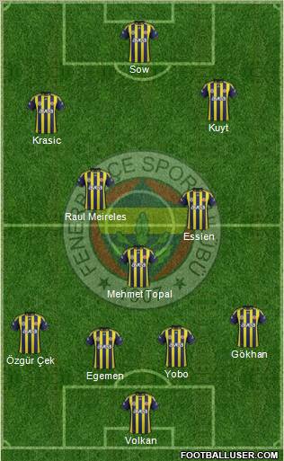 Fenerbahçe SK Formation 2012
